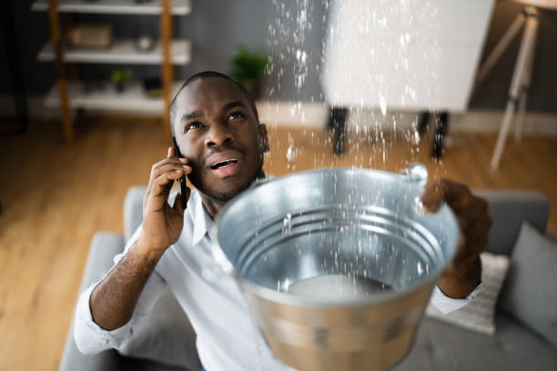 Best Ceiling water damage repair  in Dunbar, SC