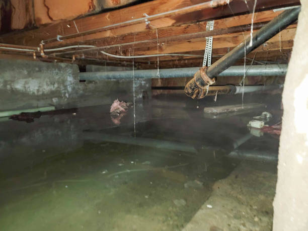 Reliable SC Water damage restoration Solutions