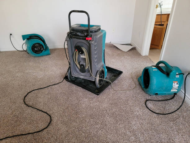  Dunbar, SC Water damage restoration Pros