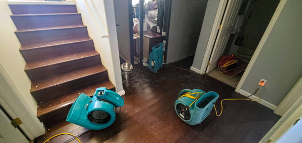 Best Basement water damage restoration  in Dunbar, SC