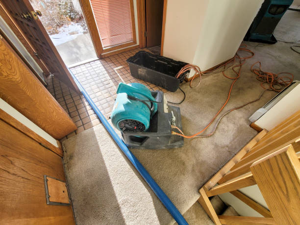 Best Professional water damage repair  in Dunbar, SC