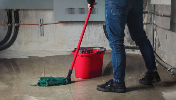 Best Basement water damage restoration  in Dunbar, SC