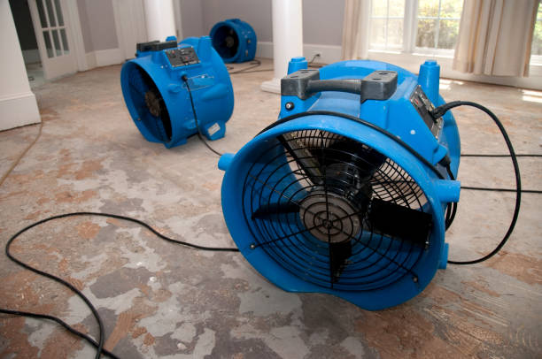 Best 24-hour water damage restoration  in Dunbar, SC