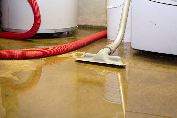 Best Carpet water damage restoration  in Dunbar, SC