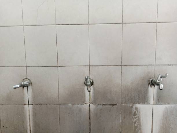 Best Water damage restoration services  in Dunbar, SC