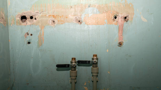Best Local water damage restoration  in Dunbar, SC