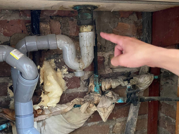 Best Water damage cleanup near me  in Dunbar, SC