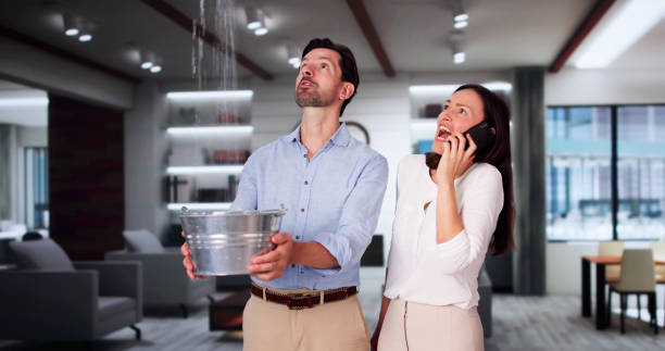 Best Mold removal after water damage  in Dunbar, SC