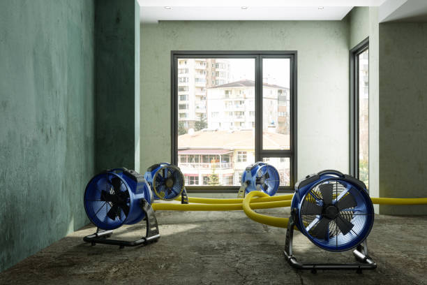 Best Commercial water damage restoration  in Dunbar, SC