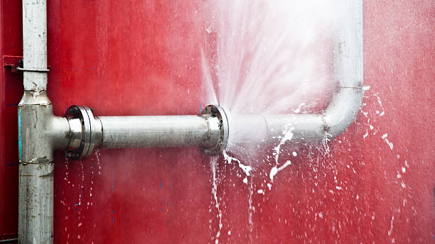 Best 24/7 water damage repair  in Dunbar, SC